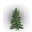Елка
