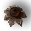 Звездовик